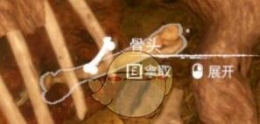 《绿色地狱》骨头食用效果一览