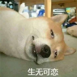 生无可恋的表情包大全 表示很绝望的微信表情包