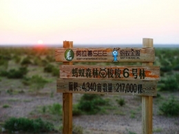 蚂蚁森林地球卫士是怎么回事 蚂蚁森林地球卫士是什么情况