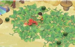 《哆啦A梦：大雄的牧场物语》全季节可采集物品大全
