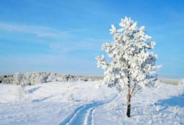 下雪天朋友圈心情短语 抖音雪天说说大全吸引人