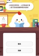 支付宝蚂蚁庄园小课堂11月27日题目：人们常说的“美人鱼”实际是指哪种海洋动物