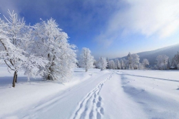 你家离雪花还有多远是怎么回事 你家离雪花还有多远是什么情况