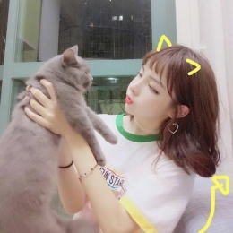 抱猫咪的可爱女生头像大全2019 2019美女抱猫咪的头像图片