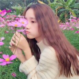 森系女生拿花遮脸头像2019精选 拿花遮脸唯美女生头像大全