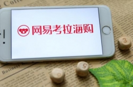 考拉回应下架整改是怎么回事 考拉回应下架整改说了什么
