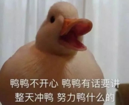 “duck不必”是什么梗 “duck不必”是什么意思