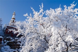 颐和园雪景图片大全真实好看 北京下雪风景图片