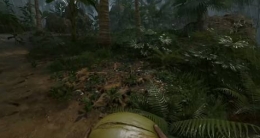 《绿色地狱（Green Hell）》BUFF种类与加成效果一览