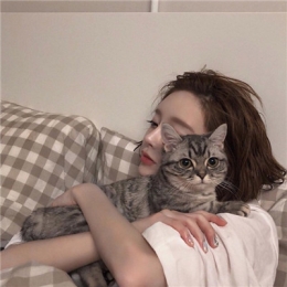 2020美女和猫咪头像高清图片 抱着猫咪的女生可爱头像大全2020