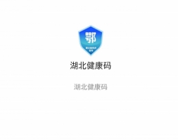 湖北健康码打不开怎么回事 湖北健康码怎么一直灰色