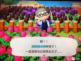 《集合啦!动物森友会》捕虫网耐久度一览