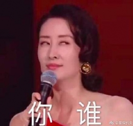 “刘敏涛抽筋捋头发爱谁是谁”是什么梗？