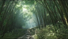 《对马岛之魂》全竹场位置一览