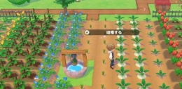 《牧场物语：橄榄镇与希望的大地》精灵介绍
