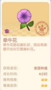 摩尔庄园手游牵牛花获取攻略