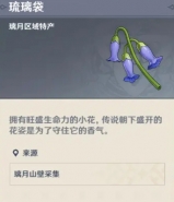 《原神》琉璃袋作用介绍