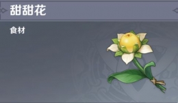 《原神》甜甜花分布地点介绍
