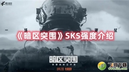 暗区突围SKS强度介绍
