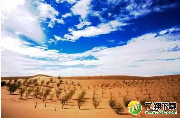 支付宝：蚂蚁森林想气死我们继承大家的花呗