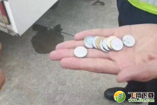 老太往飞机发动机内抛硬币 警方却对她免除责罚