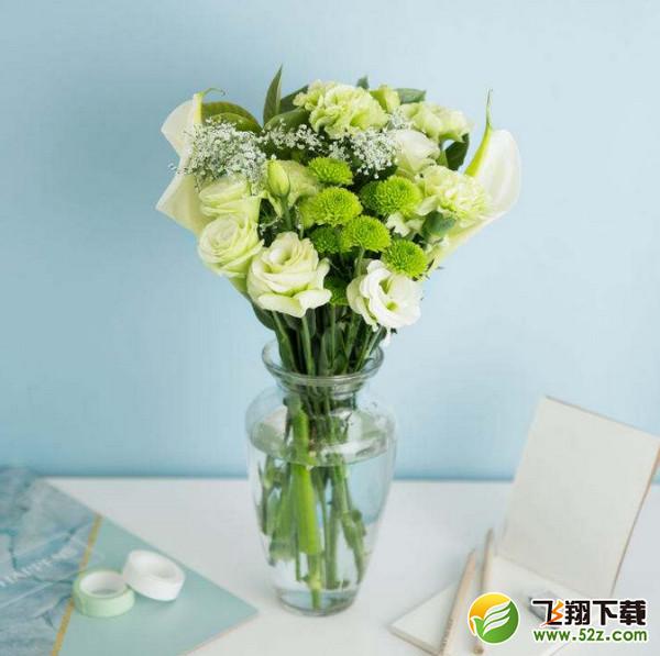花点时间和flowerplus哪家店比较好