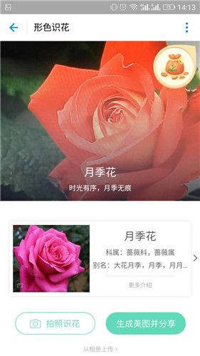 支付宝AR识花怎么玩_支付宝AR识花玩法攻略