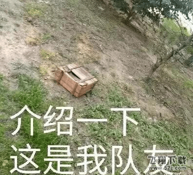 介绍一下这是我队友是什么梗_介绍一下这是我队友来源出处