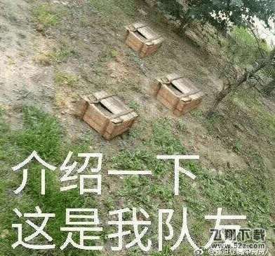 介绍一下这是我队友是什么梗_介绍一下这是我队友来源出处