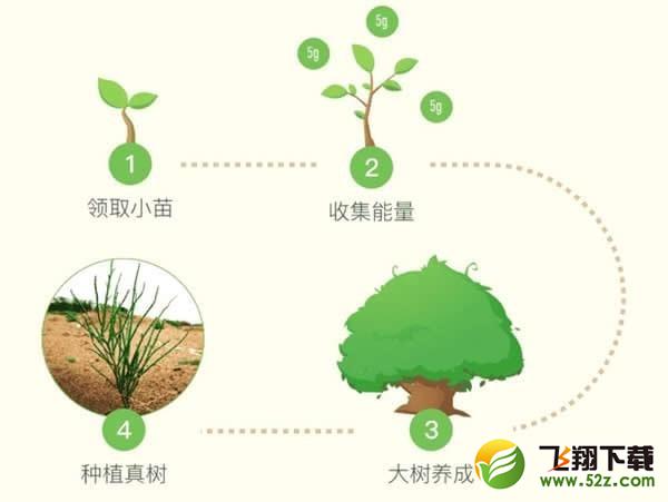 蚂蚁森林卫星看树怎么看_蚂蚁森林实时看树在哪里