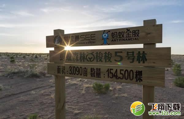 蚂蚁森林卫星看树怎么看_蚂蚁森林实时看树在哪里