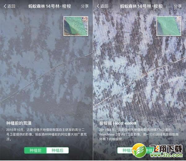 蚂蚁森林卫星看树怎么看_蚂蚁森林实时看树在哪里