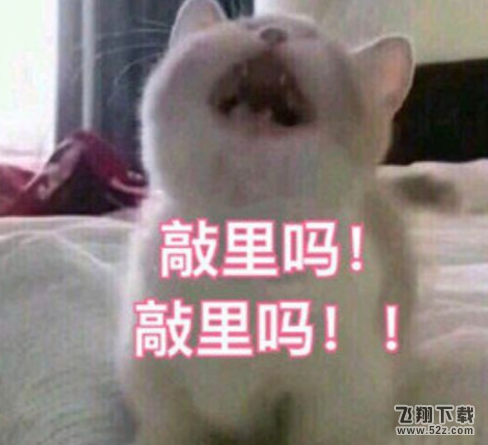 俏丽吗是什么梗_俏丽吗是什么意思
