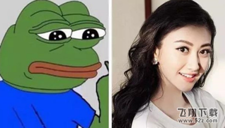 蛙系脸是什么意思_蛙系脸是什么梗_蛙系脸是什么样的