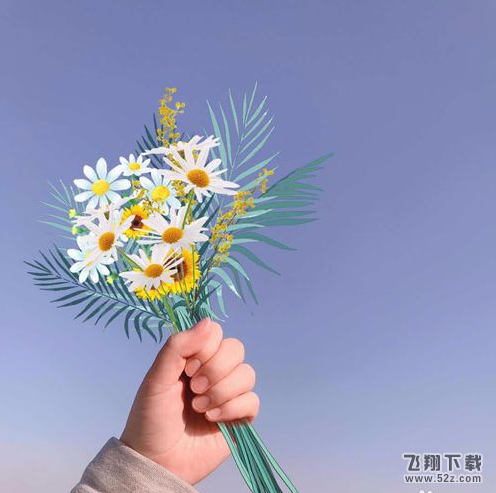 美图秀秀app手握鲜花画法教程_52z.com