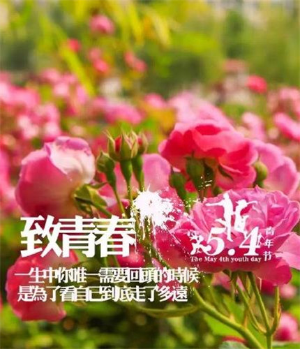 五四青年节微信图片精选_52z.com