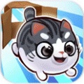 盒子里的猫2无限金币版 V1.0.16 安卓版