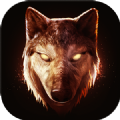 The Wolf V1.1 安卓版