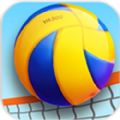 沙滩排球3D V1.0.1 安卓版