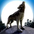 wolf.io V1.6.0 苹果版