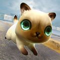 我的神奇小猫 V1.6.0 苹果版