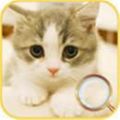 宠物猎人 V1.0 安卓版