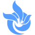 健康四川 V3.0.6 安卓版