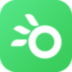 摩点 V3.3.5 安卓版