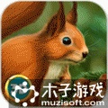 松鼠模拟器无限金币版 V1.0 安卓版