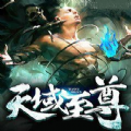天域至尊 V1.0.0 苹果版