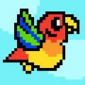 尖叫鹦鹉 V1.0 安卓版