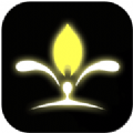 我的人生解答书 V1.0 安卓版