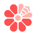 花蜜 V3.6.0 安卓版