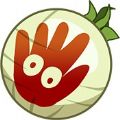漂流者海湾 V1.5.1 安卓版
